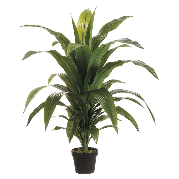 42" Dracaena Fragrans Silk Plant w/Pot -Green (pack of 2) - LPD783-GR