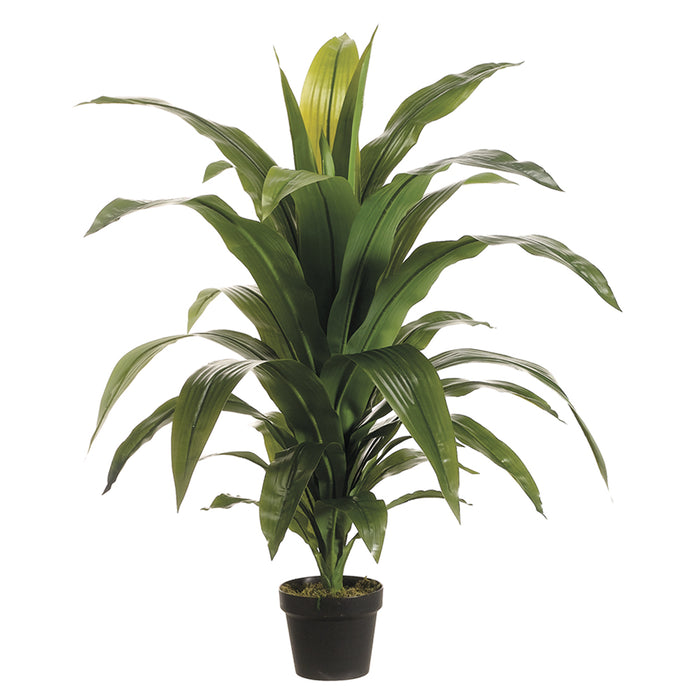 dracaena fragrans price 42" Dracaena Fragrans Silk Plant w/Pot -Green