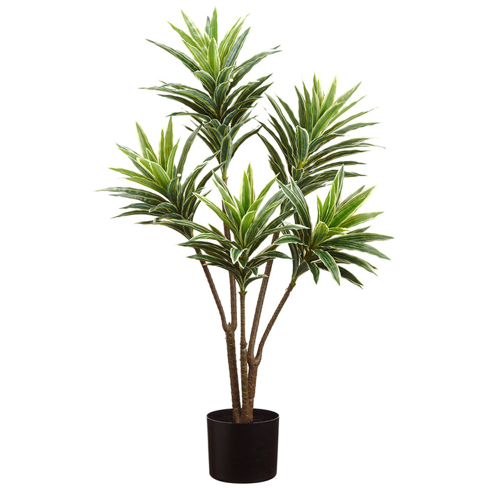 real plastic plant 2'10" Real Touch Silk Dracaena Plant w/Plastic Pot -Green — Silks Are Forever