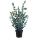 25" Outdoor UV-Resistant Artificial Eucalyptus Plant w/Pot -Green (Pack of 4) - LPE016-GR