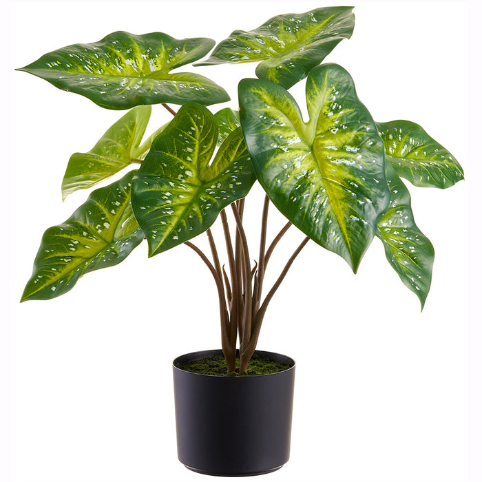 22" Elephant Ear Leaf Silk Plant w/Plastic Pot -Green (Pack of 2) - LPE092-GR/TT