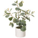 14.5" Eucalyptus Leaf Silk Plant w/Ceramic Pot -Green (pack of 9) - LPE133-GR/GY