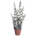 23" Eucalyptus Silk Plant w/Plastic Pot -Green/Gray (pack of 4) - LPE150-GR/GY