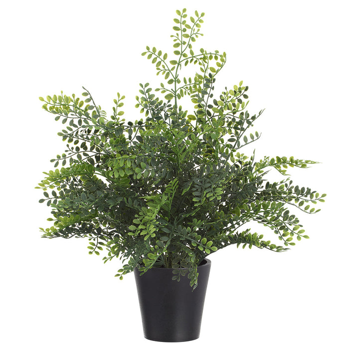 16.5" Maidenhair Leaf Fern Silk Plant w/Plastic Pot -Green (Pack of 6) - LPF014-GR