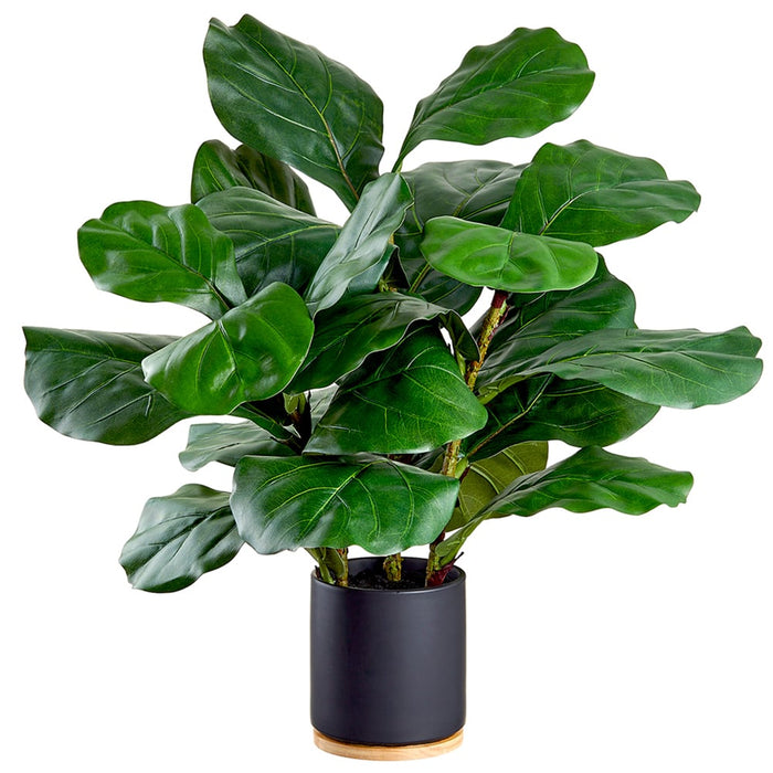 26.5" Silk Fiddle Leaf Fig Tree w/Ceramic Pot -Green (pack of 2) - LPF019-GR