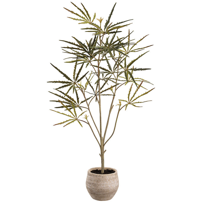 32" Fatsia Leaf Silk Plant w/Terra Cotta Pot -Green (Pack of 2) - LPF052-GR