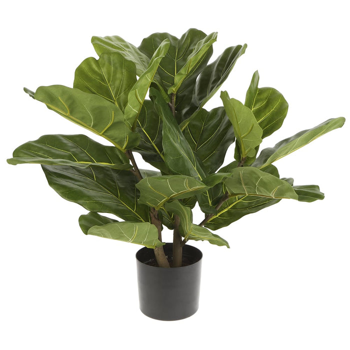 23.5" Silk Fiddle Leaf Fig Plant w/Plastic Pot -Green (pack of 2) - LPF112-GR