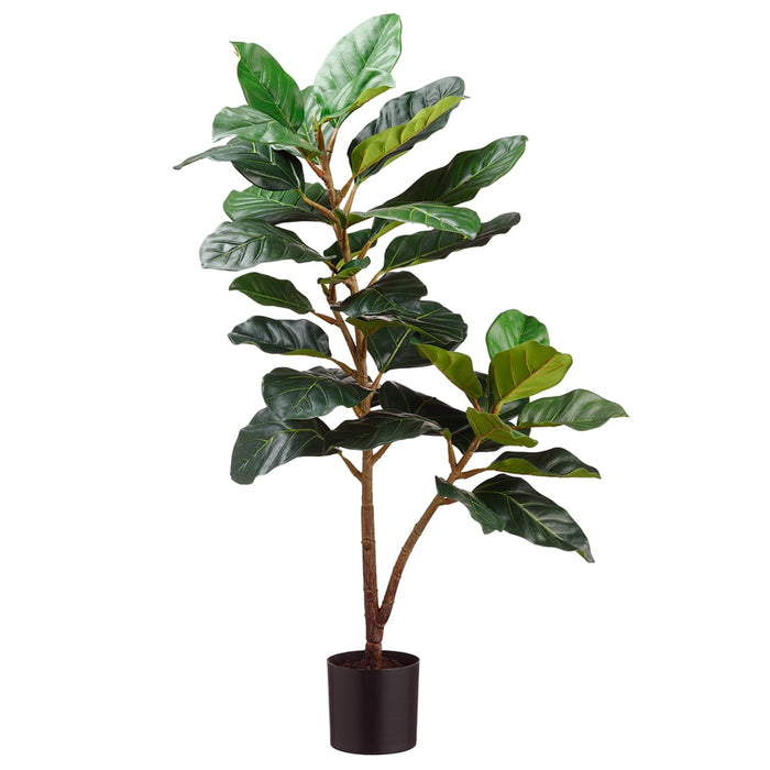 3' Silk King Ficus Tree w/Plastic Pot -Green (pack of 2) - LPF113-GR