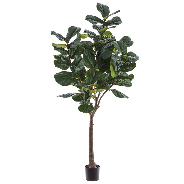 6'11" Fiddle Leaf Fig Silk Tree w/Plastic Pot -Green - LPF140-GR