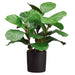 24" Silk Fiddle Leaf Fig Tree w/Plastic Pot -Green - LPF176-GR