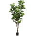 7'6" Silk Fiddle Leaf Fig Tree w/Plastic Pot -Green (pack of 2) - LPF196-GR