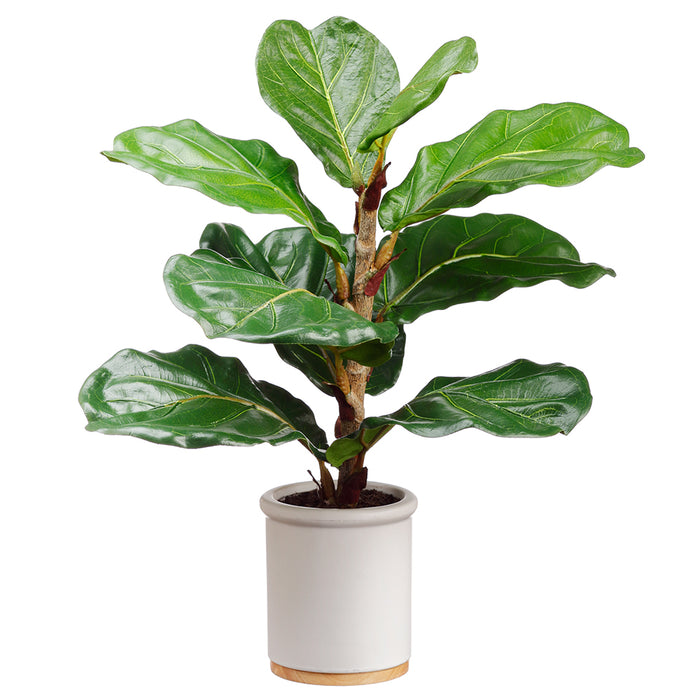 17" Silk Fiddle Leaf Fig Plant w/Ceramic Pot -Green (pack of 4) - LPF211-GR