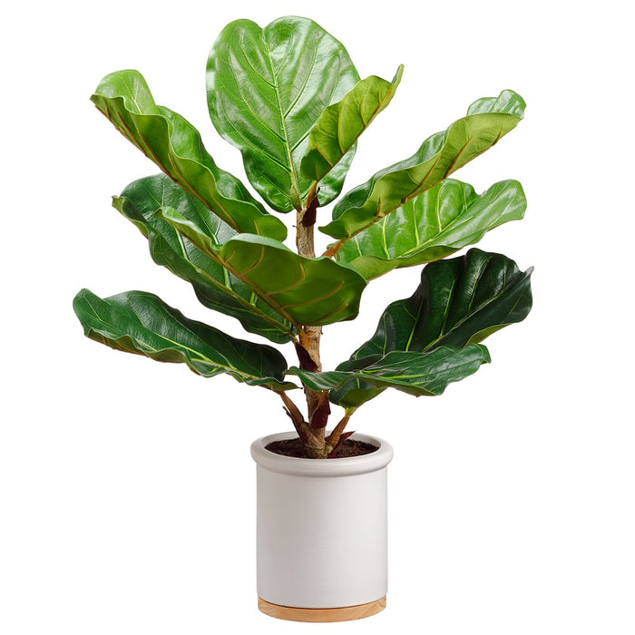21" Silk Fiddle Leaf Fig Plant w/Ceramic Pot -Green (pack of 2) - LPF212-GR