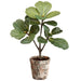 18.5" Silk Fiddle Leaf Fig Plant w/Clay Pot -Green (pack of 4) - LPF494-GR