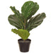 15.5" Silk Fiddle Leaf Fig Plant w/Plastic Pot -Green (pack of 6) - LPF621-GR