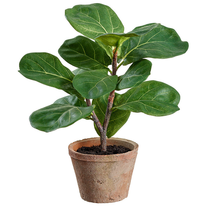 1' Fiddle Leaf Fig Silk Tree w/Clay Pot -Green (Pack of 12) - LPF701-GR