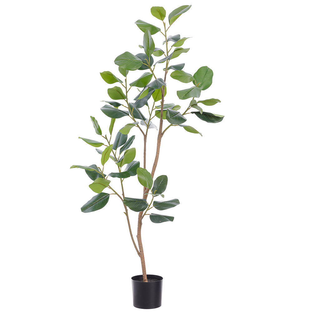 5'10" Ficus Audrey Silk Tree w/Pot Green Ficus Trees — Silks Are Forever