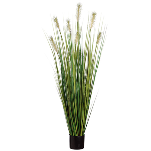 5' Pampas Grass Silk Plant w/Pot -2 Tone Green (pack of 4) - LPG109-GR/TT