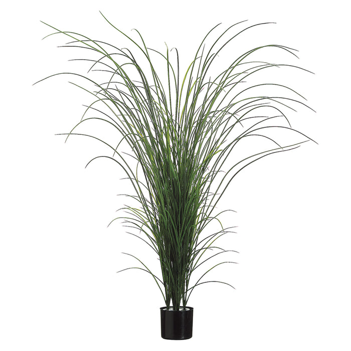 5'4" Grass Silk Plant w/Pot (pack of 2) - LPG223-GR/TT