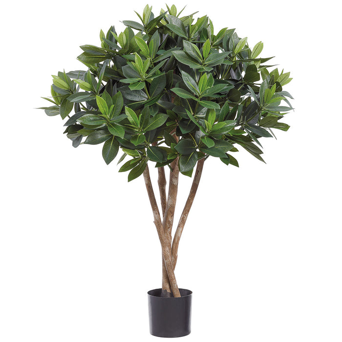 2'1" Jungle Geranium Ixora Silk Tree w/Pot -Green (Pack of 2) - LPI376-GR