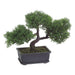 9" Artificial Cedar Silk Bonsai Tree w/Rectangle Pot (pack of 6) - LPL053-GR