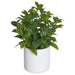 11" Lipstick Vine Silk Plant w/Poly Resin Pot -2 Tone Green (pack of 6) - LPL081-GR/TT