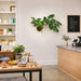 35" Silk Split Philodendron Monstera Leaf Plant w/Wall Mount -Green - LPM027-GR