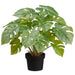 18.75" Split Philodendron Monstera Leaf Silk Plant w/Plastic Pot -Green (pack of 6) - LPM135-GR