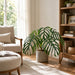 31" Monstera Dilacerata Leaf Silk Plant w/Plastic Pot -Green - LPM206-GR