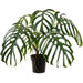 31" Monstera Dilacerata Leaf Silk Plant w/Plastic Pot -Green - LPM206-GR