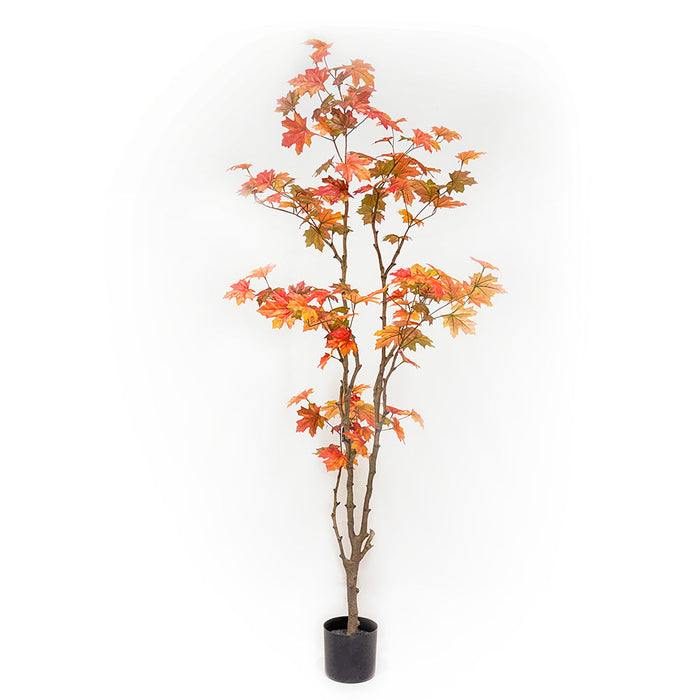 6' Maple Leaf Silk Tree w/Pot -Orange - LPM251-OR