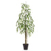 5'9" Monstera Dilacerata Leaf Silk Plant w/Plastic Pot -Green - LPM417-GR