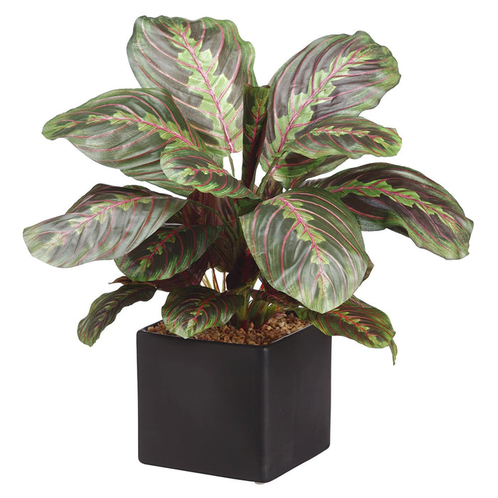 17.7" Maranta Leaf Silk Plant w/Ceramic Pot -Green/Burgundy (Pack of 3) - LPM610-GR/BU