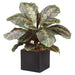 17.7" Maranta Leaf Silk Plant w/Ceramic Pot -Green/Burgundy (Pack of 3) - LPM610-GR/BU