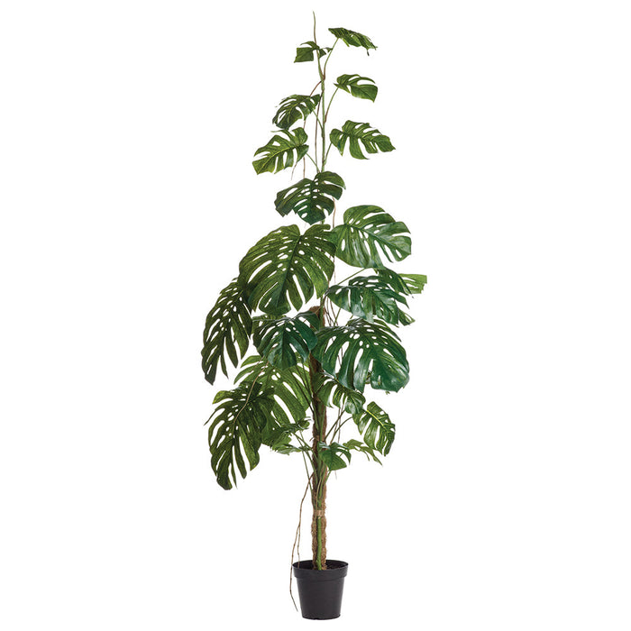 8'3" Split Philodendron Monstera Leaf Silk Plant w/Plastic Pot -Green - LPM722-GR