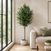 6' Olive Silk Tree w/Pot -2 Tone Green - LZO416-GR/TT