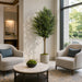 6' Olive Silk Tree w/Pot -2 Tone Green (Pack of 2) - LPO416-GR/TT