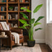 5' Bird Of Paradise Silk Plant w/Plastic Pot -Green (Pack of 2) - LPP005-GR