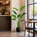 5' Bird Of Paradise Silk Plant w/Plastic Pot -Green (Pack of 2) - LPP005-GR