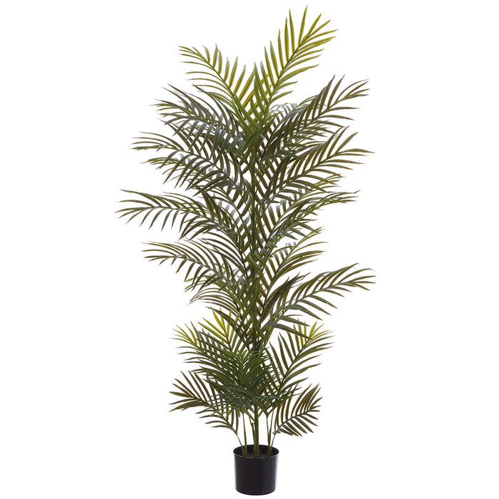 5' Areca Palm Silk Tree w/Pot -Green (Pack of 4) - LPP024-GR