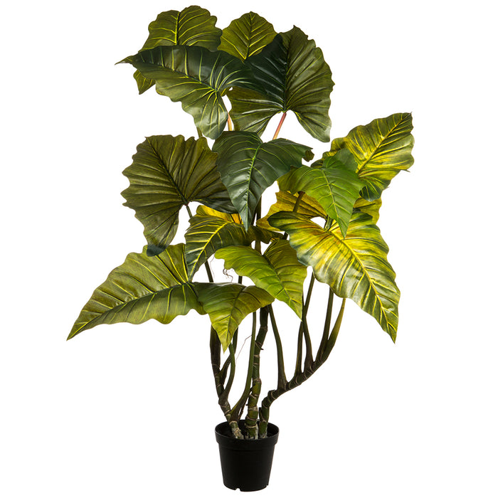 5'9" Silk Red Prince Philodendron Plant w/Plastic Pot -Green - LPP069-GR