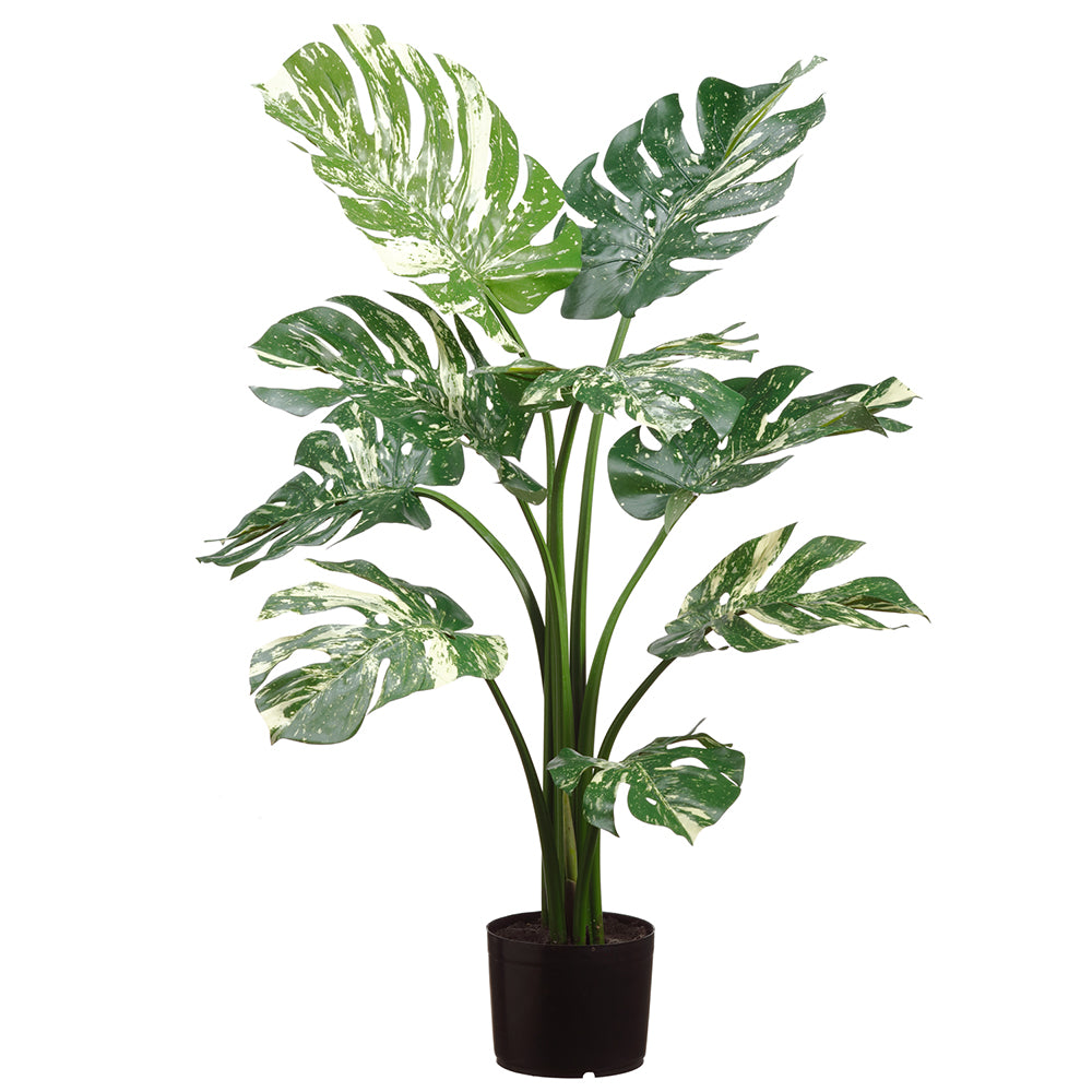 artificial two toned philodendron 36" Silk Split Philodendron Monstera Plant w/Plastic Pot -Green/Cream —  Silks Are Forever