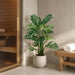4' Silk Split Philodendron Monstera Plant w/Plastic Pot -Green/Cream (Pack of 2) - LPP113-GR/CR