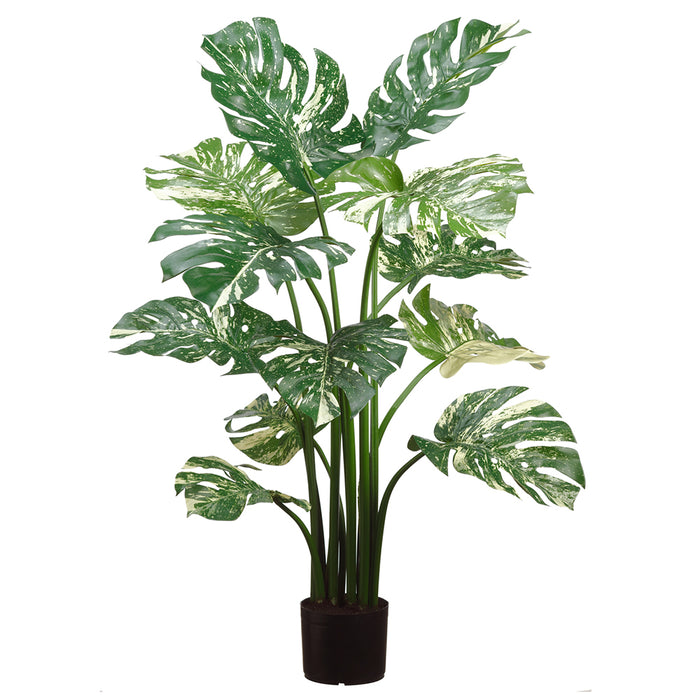 4' Silk Split Philodendron Monstera Plant w/Plastic Pot -Green/Cream (pack of 2) - LPP113-GR/CR