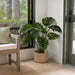 39" Split Leaf Philodendron Monstera Silk Plant w/Pot -Green (Pack of 2) - LPP120-GR/TT