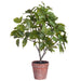 15.5" Pomelo Leaf Silk Plant w/Plastic Pot -Green (pack of 6) - LPP197-GR