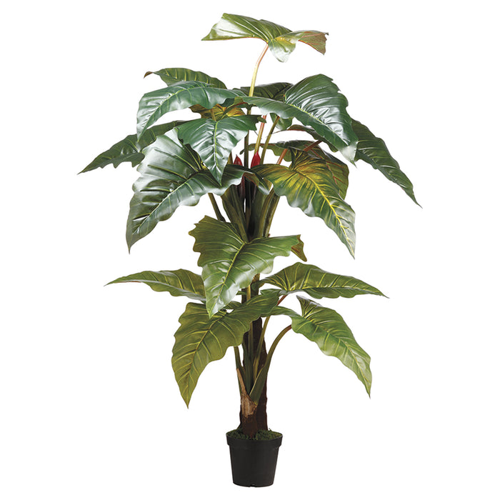red prince philodendron 6'6" Red Prince Philodendron Silk Plant w/Pot -Green (Pack of 2)