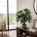31" Selloum Philodendron Silk Plant w/Pot -Green (Pack of 2) - LPP445-GR
