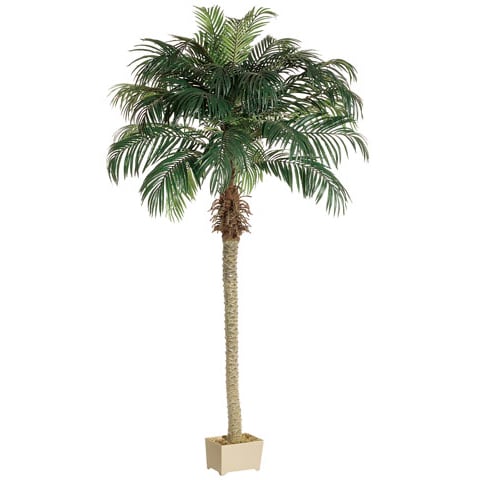 8' Phoenix Silk Palm Tree w/Container -Green (pack of 2) - LPP508