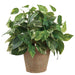 17" Pothos Leaf Silk Plant w/Clay Pot -Green/White (Pack of 2) - LPP580-GR/WH